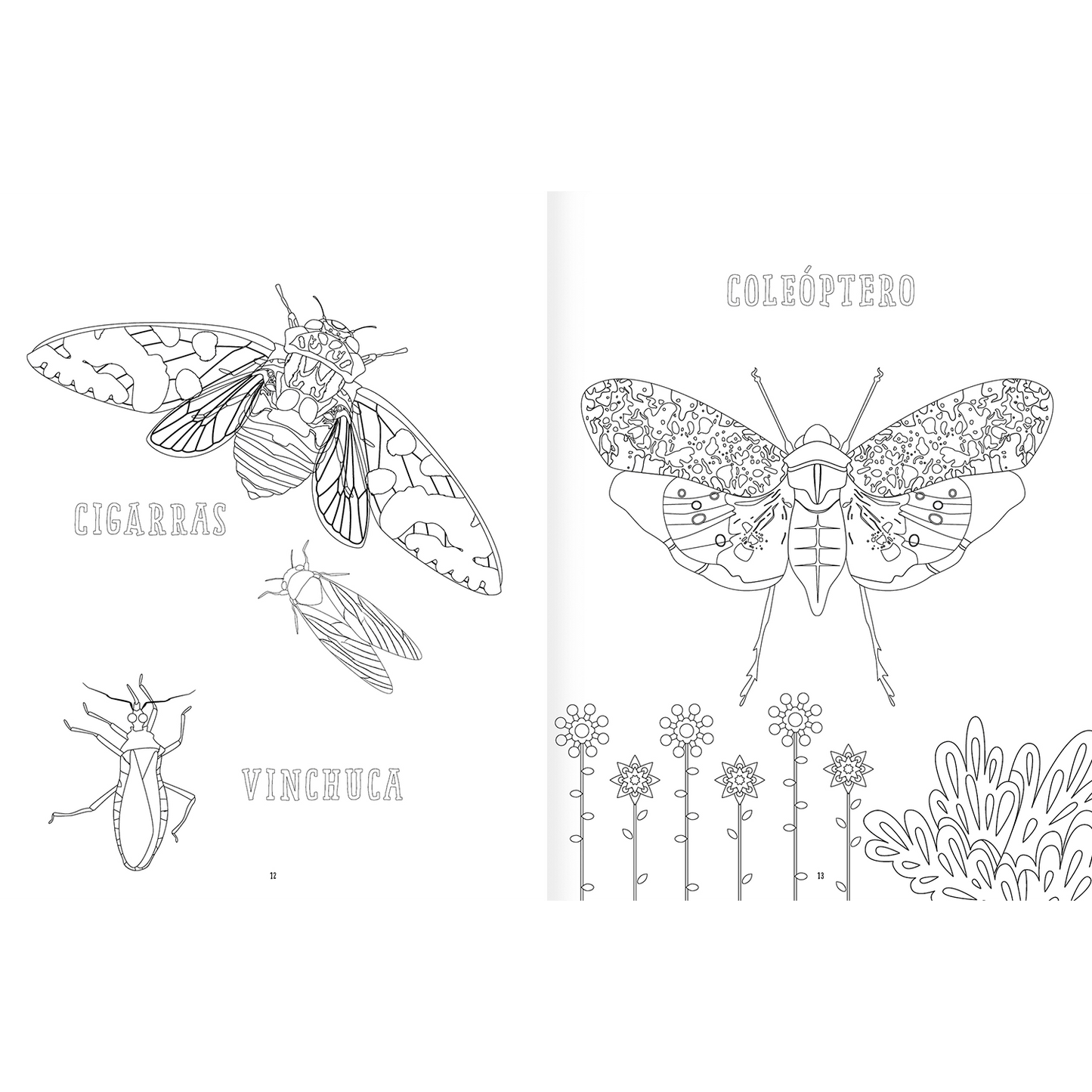 AMANUTA Libros Insectopinta 978-956-364-132-5