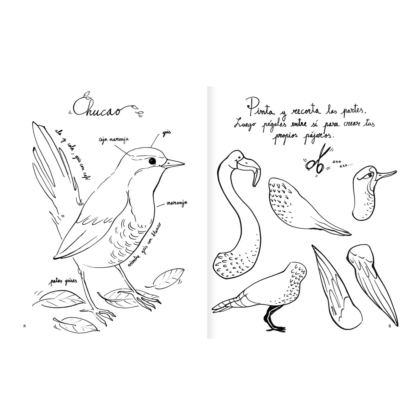 AMANUTA Libros Pintapájaros 978-956-364-133-2