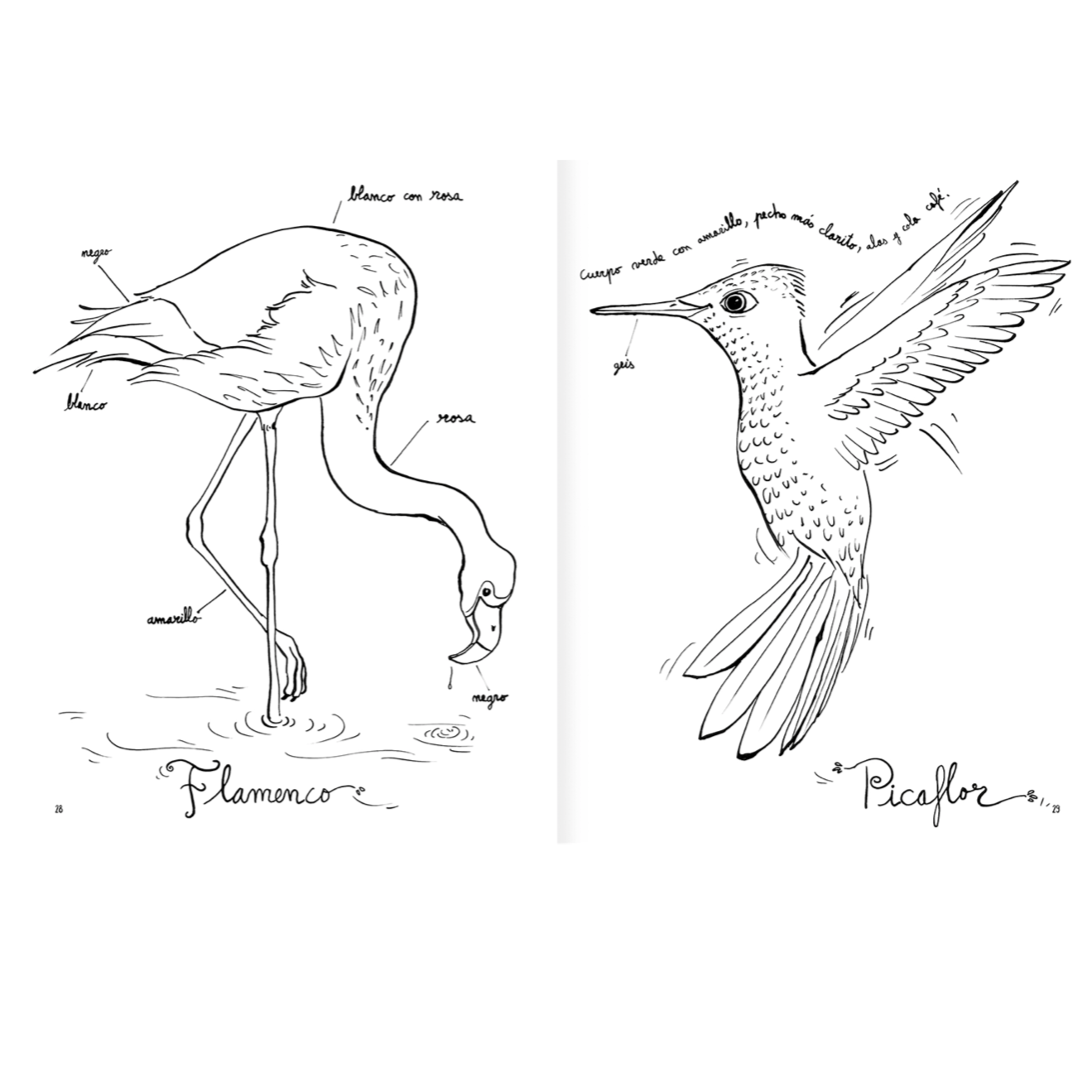 AMANUTA Libros Pintapájaros 978-956-364-133-2