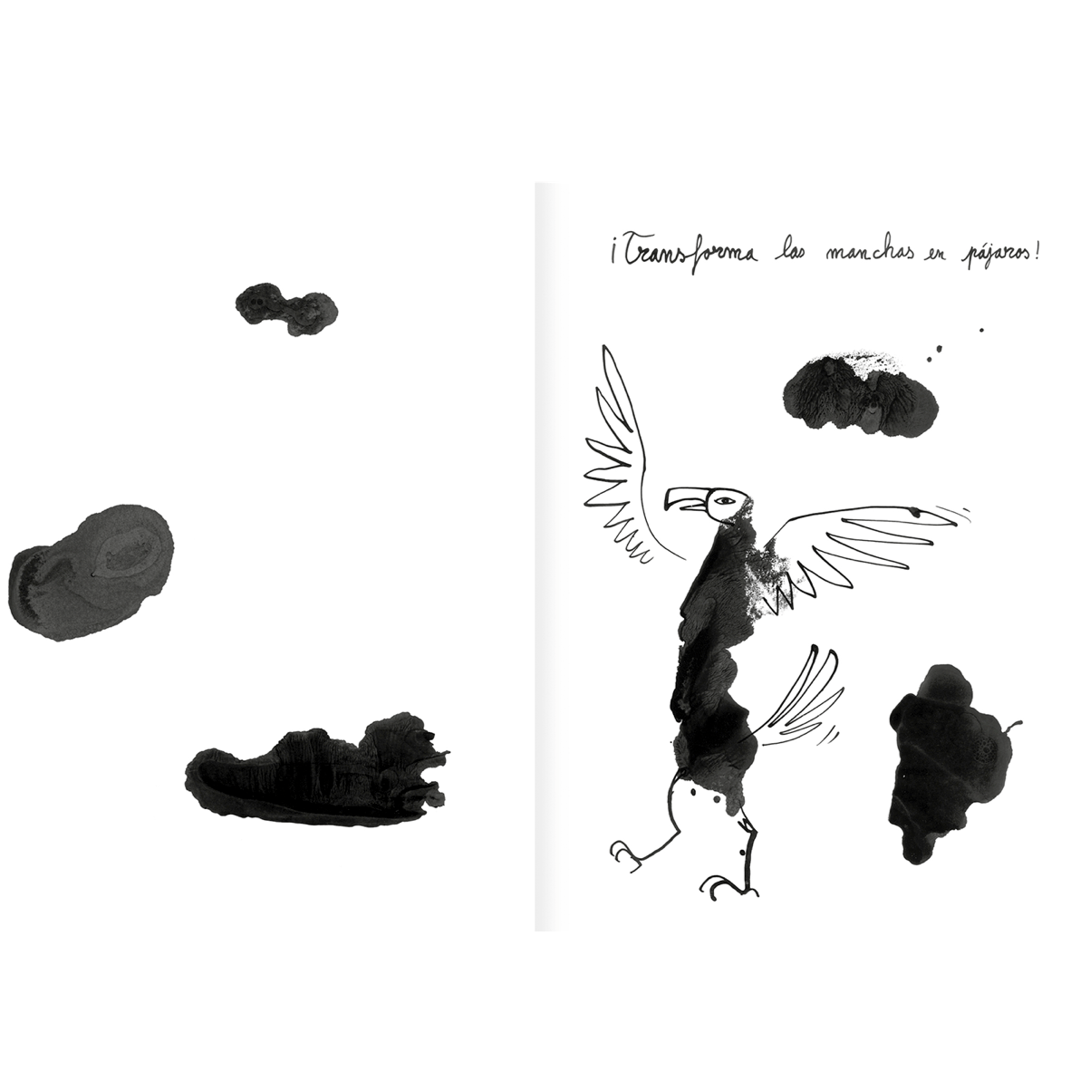 AMANUTA Libros Pintapájaros 978-956-364-133-2