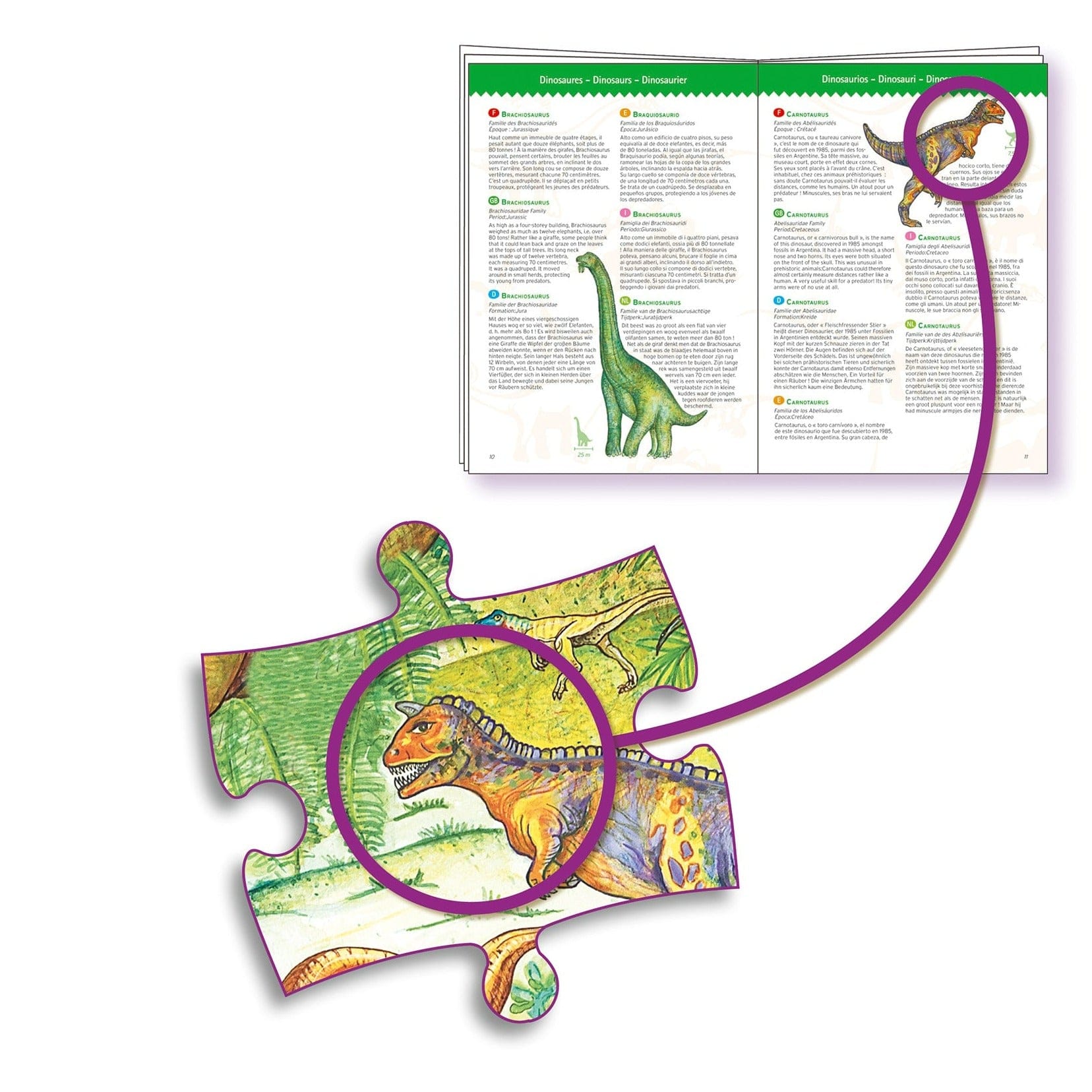 DJECO Puzzles y encajes Puzzle Observación Dinosaurios 100 Piezas DJ07424