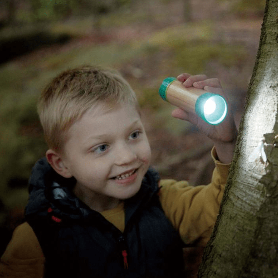 HAPE Juegos de Exterior Linterna de Carga Manual de Madera E5579