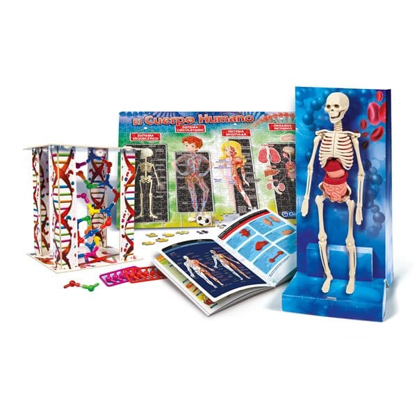 Pichintun Cuerpo Humano 55089