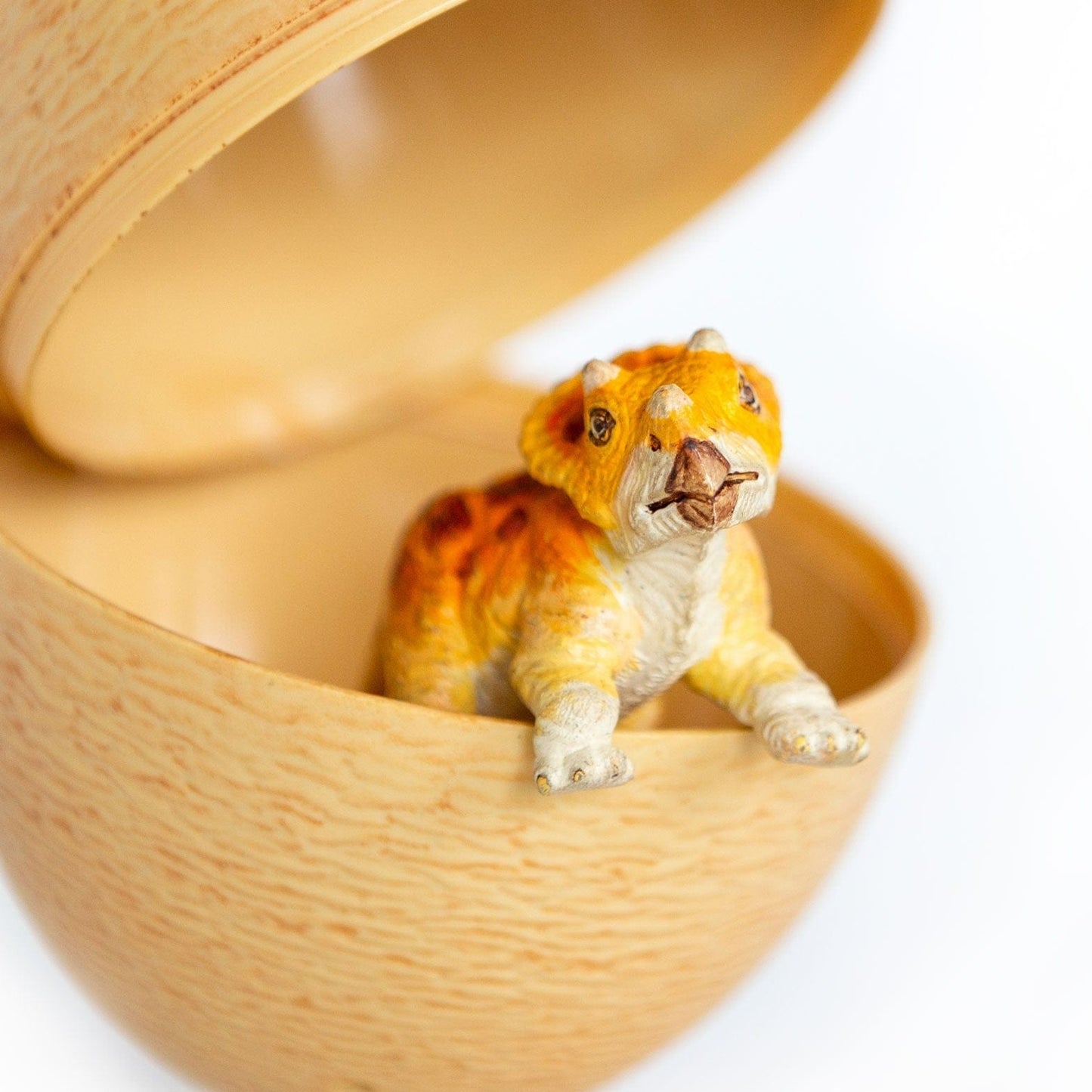 SAFARI Animales y Dinosaurios Coleccionables Baby Triceratops Con Huevo Dino Dana Coleccionable