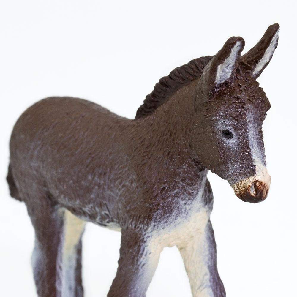 SAFARI Animales y Dinosaurios Coleccionables Burro Bebé Coleccionable SA249929