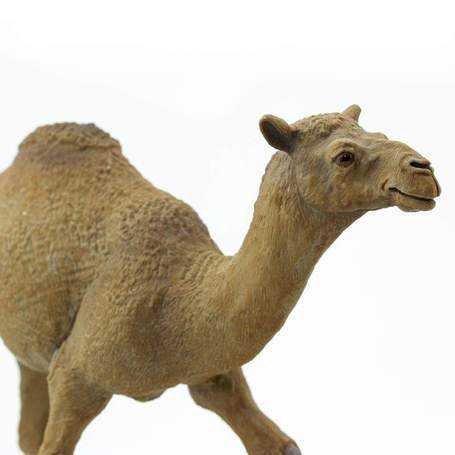 SAFARI Animales y Dinosaurios Coleccionables Camello Dromedario Coleccionable SA222429