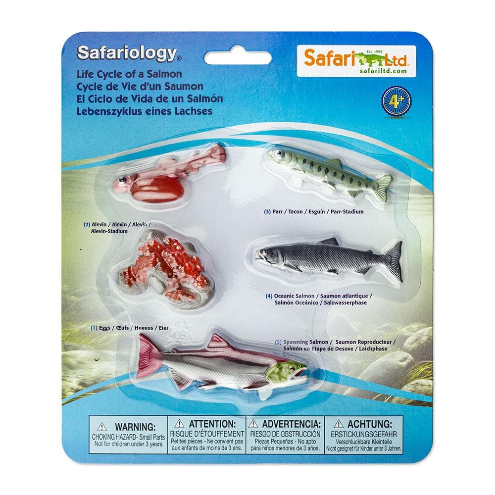 SAFARI Animales y Dinosaurios Coleccionables Ciclo de vida de salmón coleccionable
