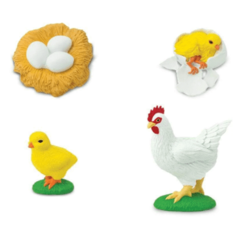 SAFARI Animales y Dinosaurios Coleccionables Ciclo de vida de un pollo SA662816