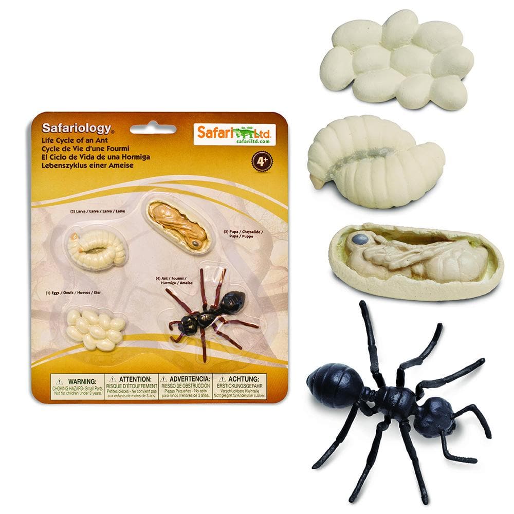 SAFARI Animales y Dinosaurios Coleccionables Ciclo de vida de una hormiga coleccionable SA663916