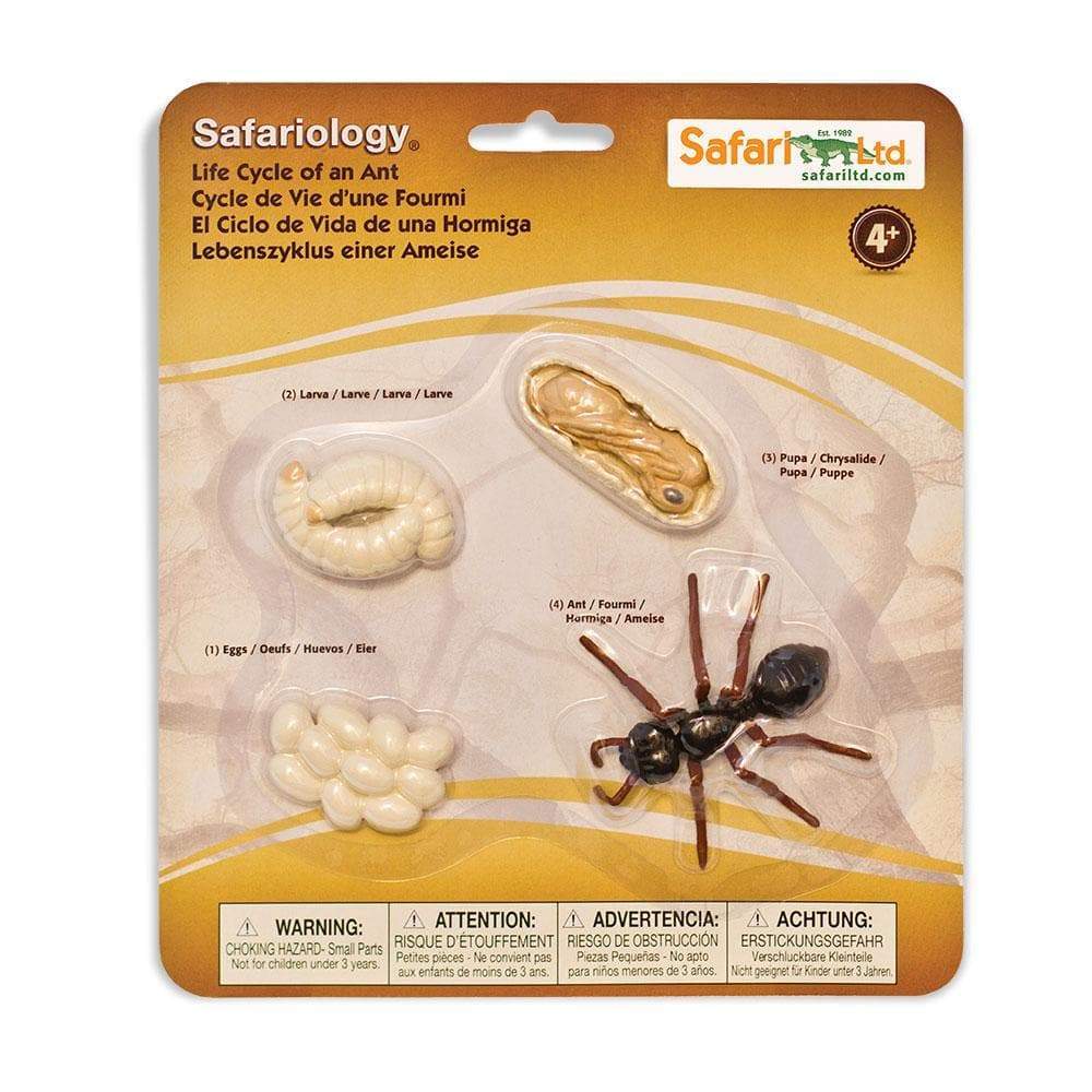 SAFARI Animales y Dinosaurios Coleccionables Ciclo de vida de una hormiga coleccionable SA663916