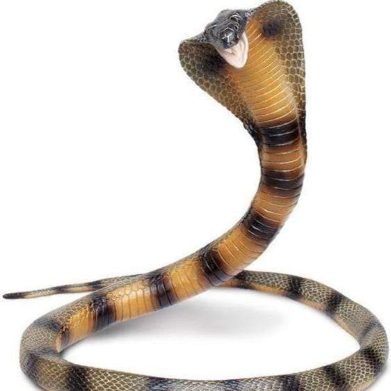 SAFARI Animales y Dinosaurios Coleccionables Cobra Coleccionable SA260329