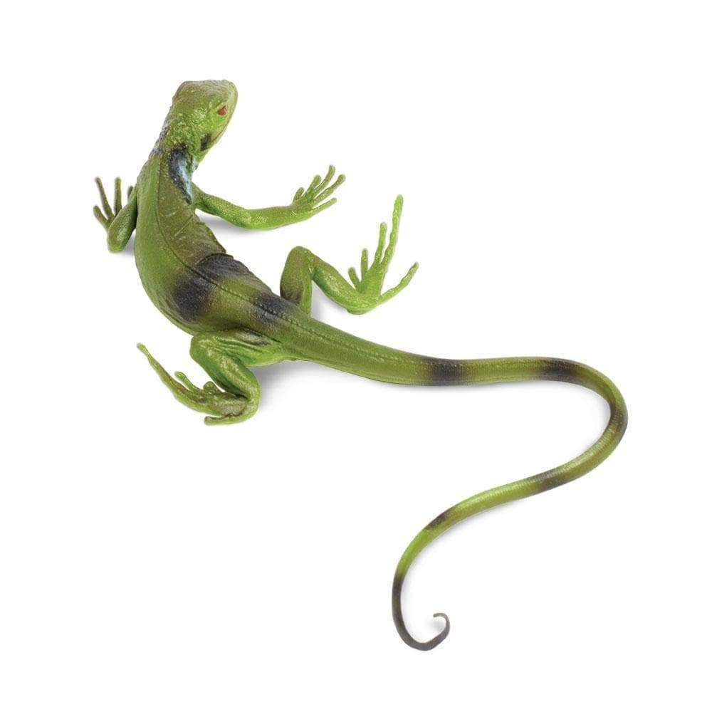 SAFARI Animales y Dinosaurios Coleccionables Copia de Iguana Coleccionable
