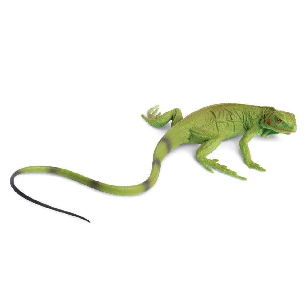 SAFARI Animales y Dinosaurios Coleccionables Copia de Iguana Coleccionable
