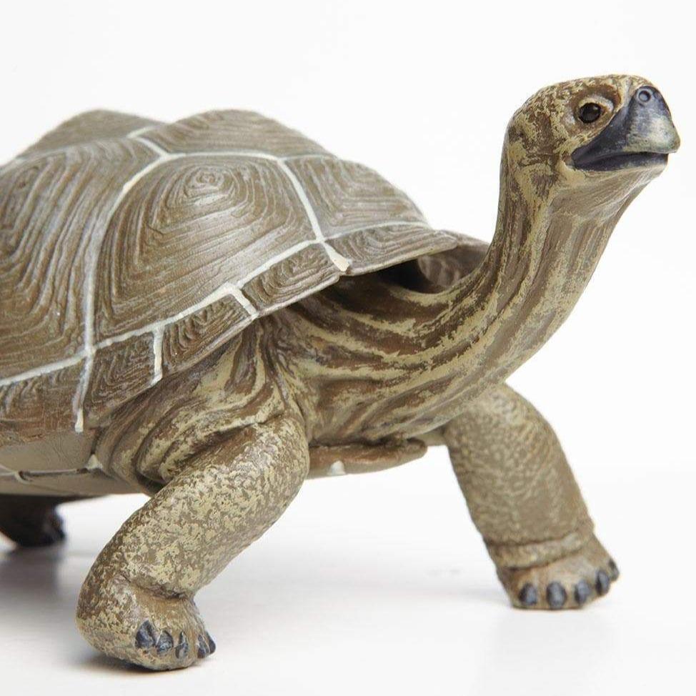 SAFARI Animales y Dinosaurios Coleccionables Tortuga Coleccionable SA260729