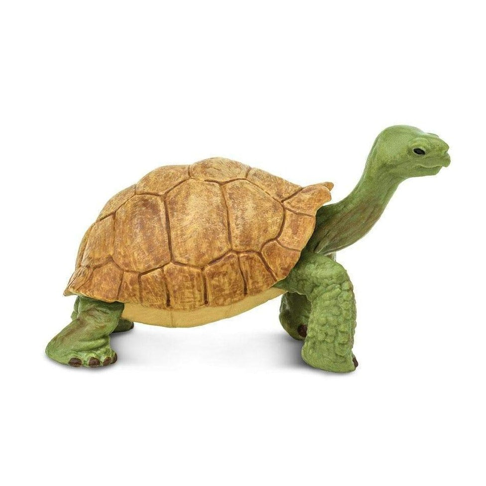 SAFARI Animales y Dinosaurios Coleccionables Tortuga Gigante Bebé Coleccionable SA272529