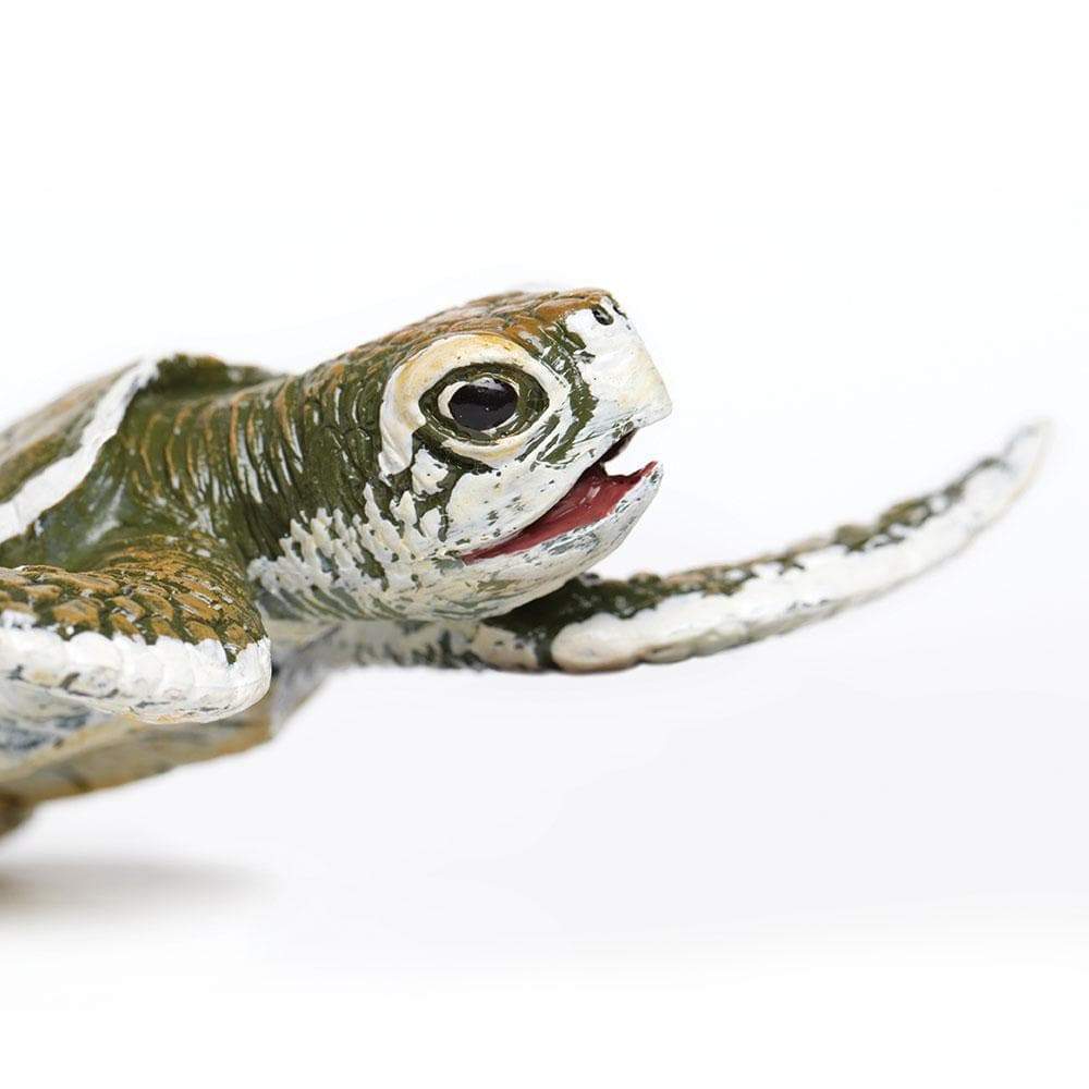 SAFARI Animales y Dinosaurios Coleccionables Tortuga Marina Bebé Kemp's Ridley Coleccionable SA267429