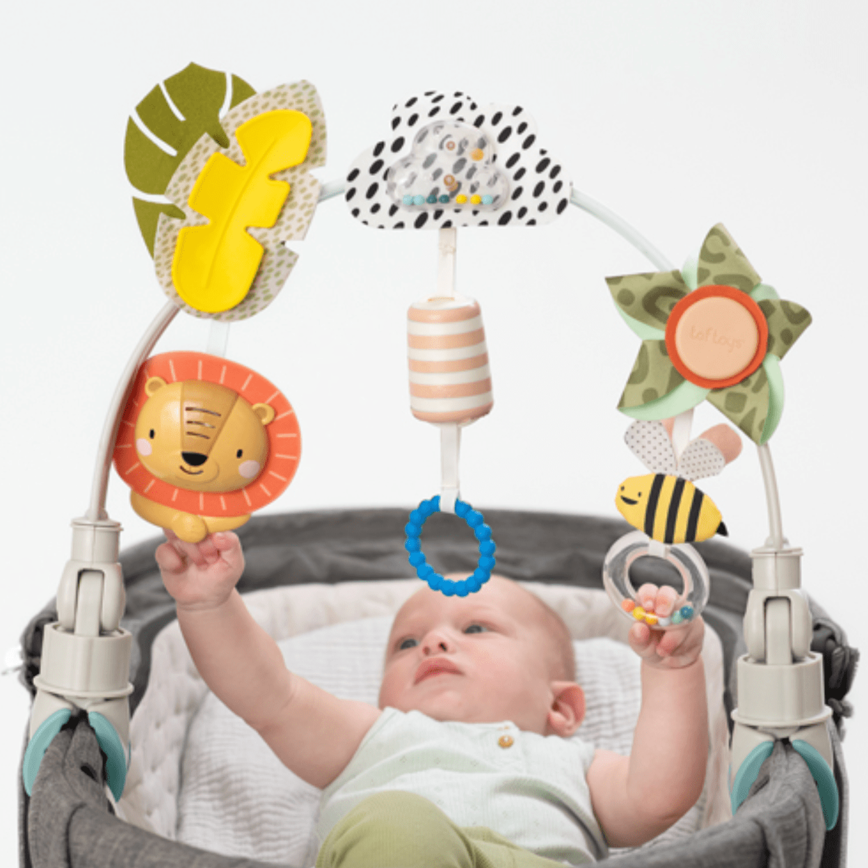 Taf Toys Accesorios Bebé Arco de aventuras de Savannah 12795