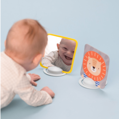 Taf Toys Libros My 1st Tummy cards