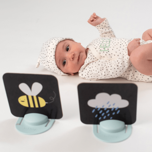 Taf Toys Libros My 1st Tummy cards