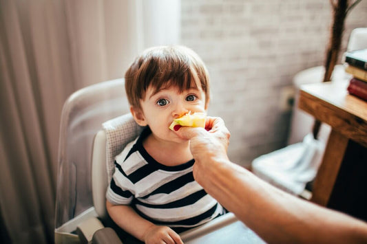 alimentacion escolar