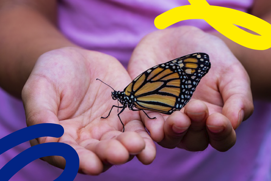 Aprender a través de los sentidos