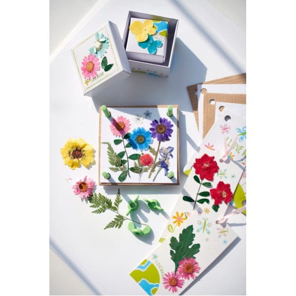 4M Arte / Manualidades Prensador de flores - 4M 00-04567