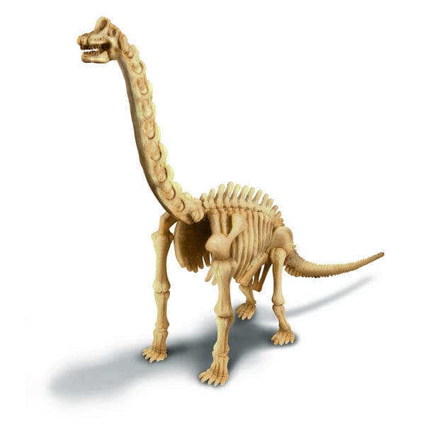 4M Juegos de Ciencia Dinosaurio Brachiosaurus Excava 00-03237