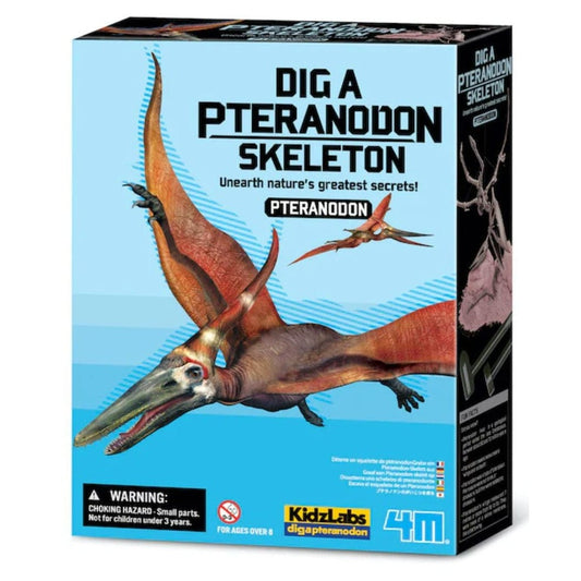 4M Juegos de Ciencia Dinosaurio Pteranodon EXCAVA 00-03459