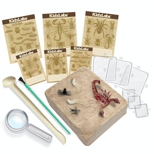 4M Juegos de Ciencia Kit de ciencia Excava Bichos - 4M 00-03397