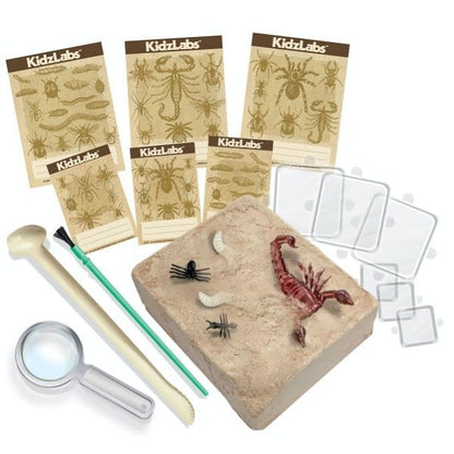 4M Juegos de Ciencia Kit de ciencia Excava Bichos - 4M 00-03397