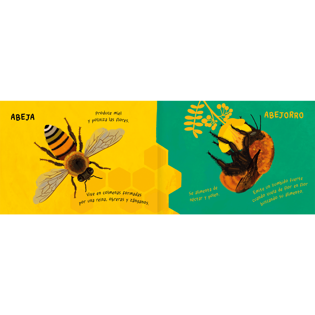 Amanuta Libro Libro Aire Animal - Amanuta 978-956-364-340-4