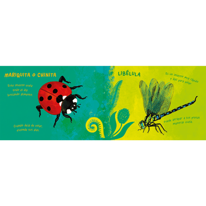 Amanuta Libro Libro Aire Animal - Amanuta 978-956-364-340-4