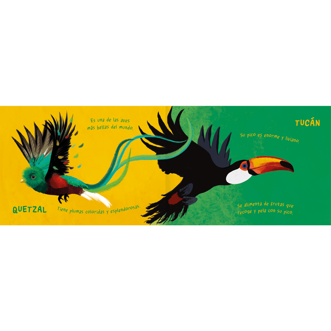 Amanuta Libro Libro Aire Animal - Amanuta 978-956-364-340-4