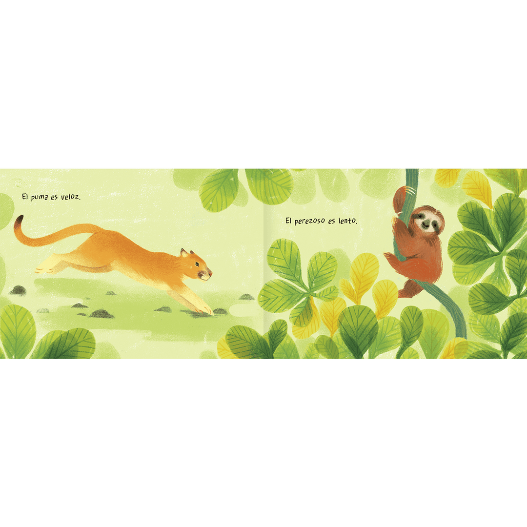 Amanuta Libro Libro Tierra Animal - Amanuta 978-956-364-368-8