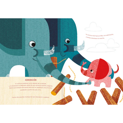 Amanuta Libros Emociones para contar- Amanuta 978-956-364-324-4