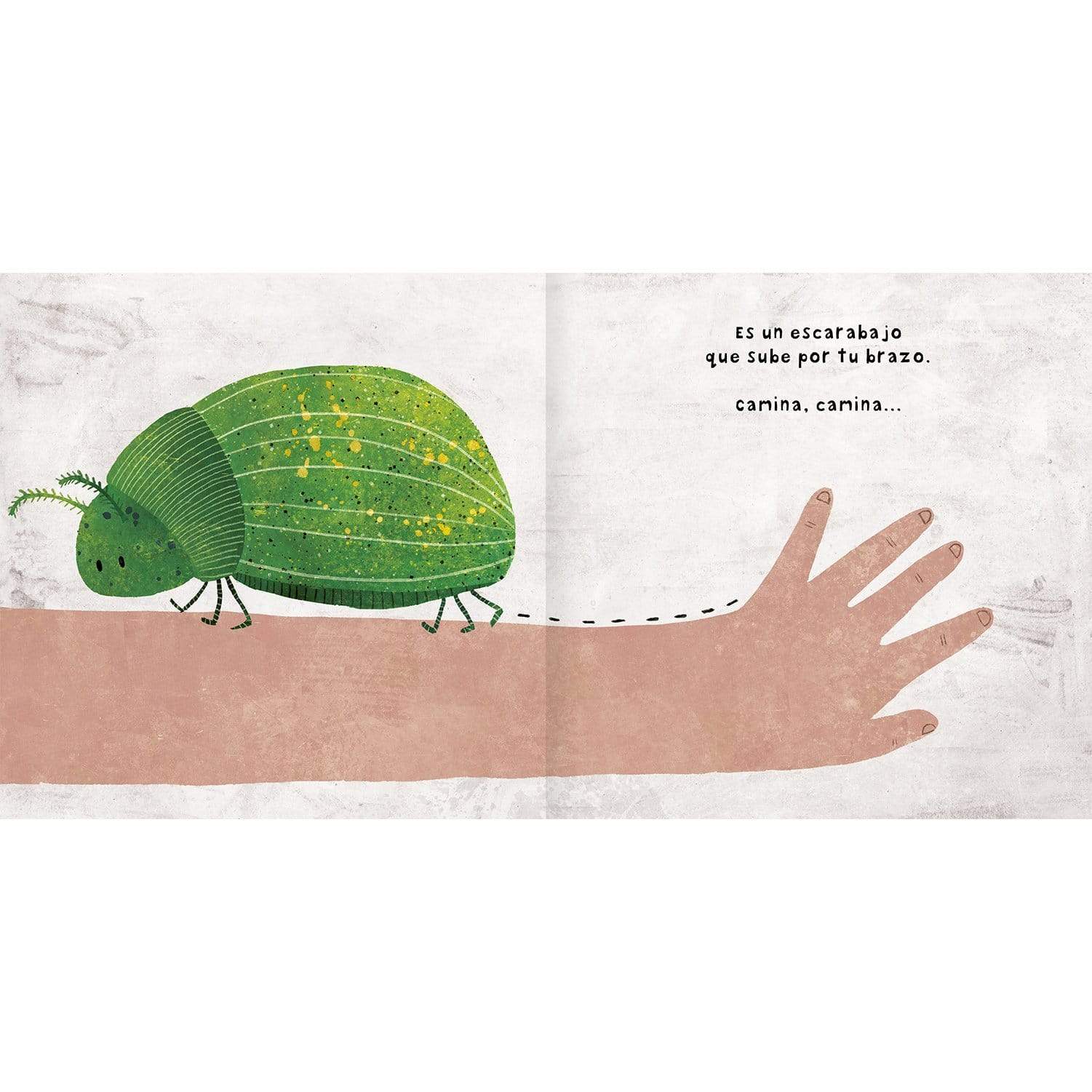 AMANUTA Libros Libro Menudos Bichos 978-956-364-085-4