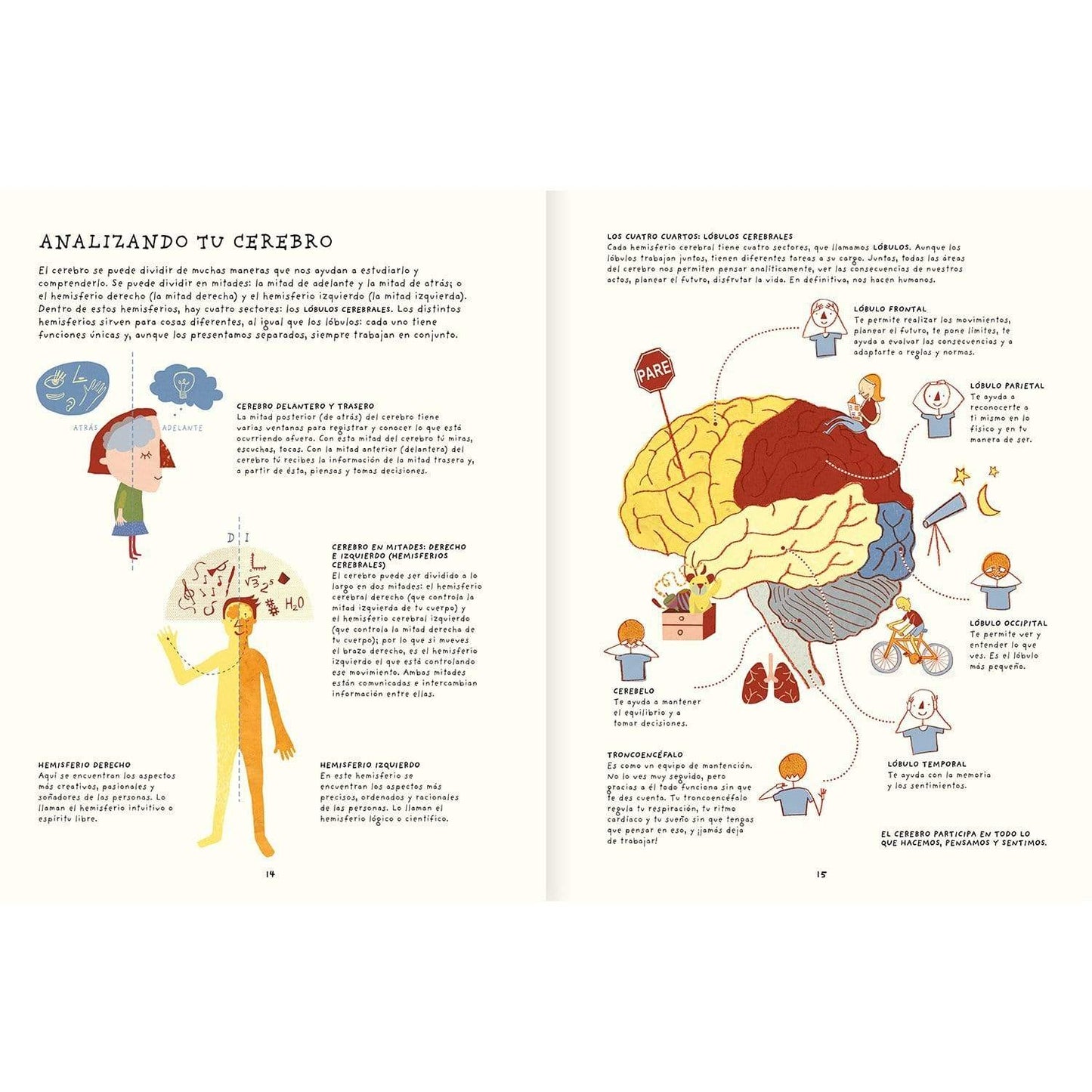 Amanuta Libros Libro Tu cerebro es genial - Amanuta 978-956-364-104-2