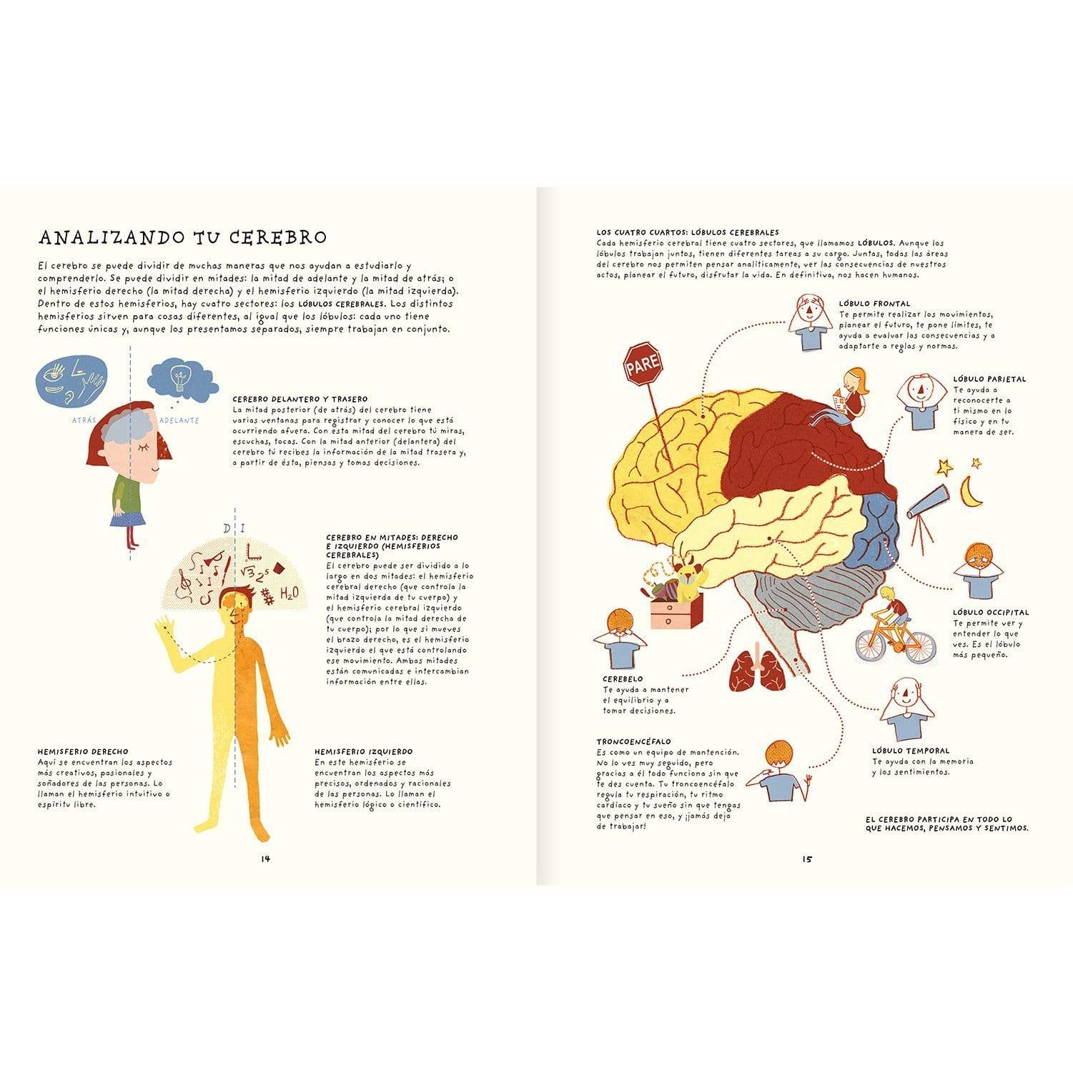 Amanuta Libros Libro Tu cerebro es genial - Amanuta 978-956-364-104-2