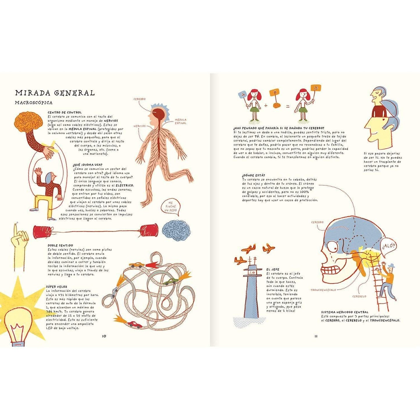 Amanuta Libros Libro Tu cerebro es genial - Amanuta 978-956-364-104-2