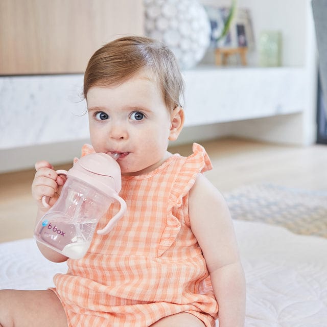 B.box Alimentación Vaso Sippy Blush - B.box BBX200211