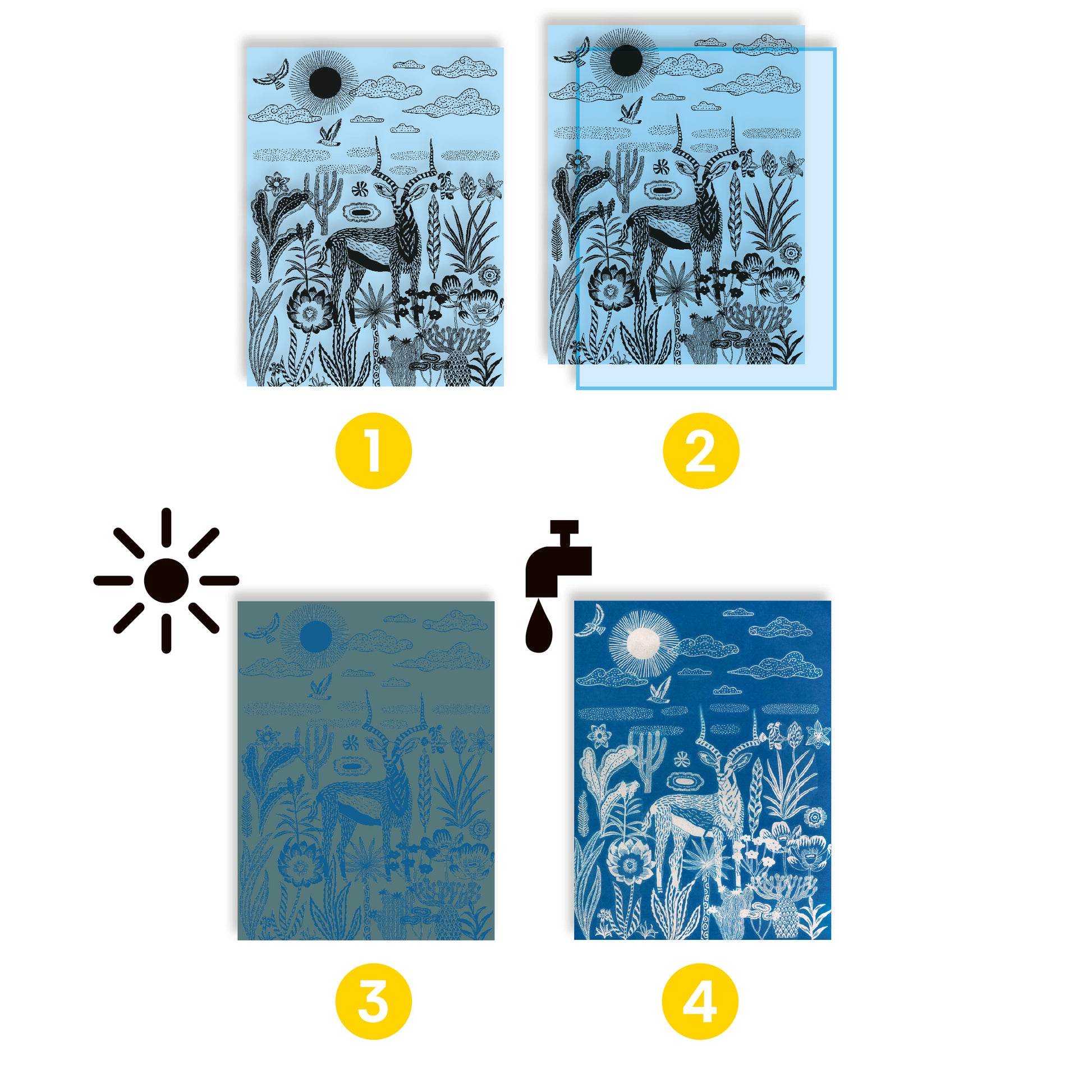 Design By Djeco Arte / Manualidades Kit Creativo Cyanotype Noche en la Sabana – Arte con Luz Design By Djeco DJ09343