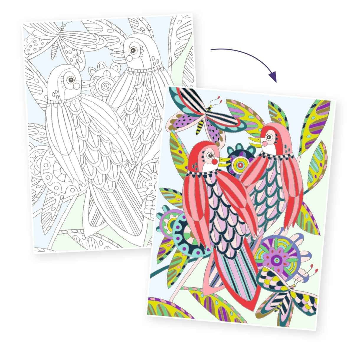 Design By Djeco Arte y Manualidades Dibujos para colorear XL Pajaros
