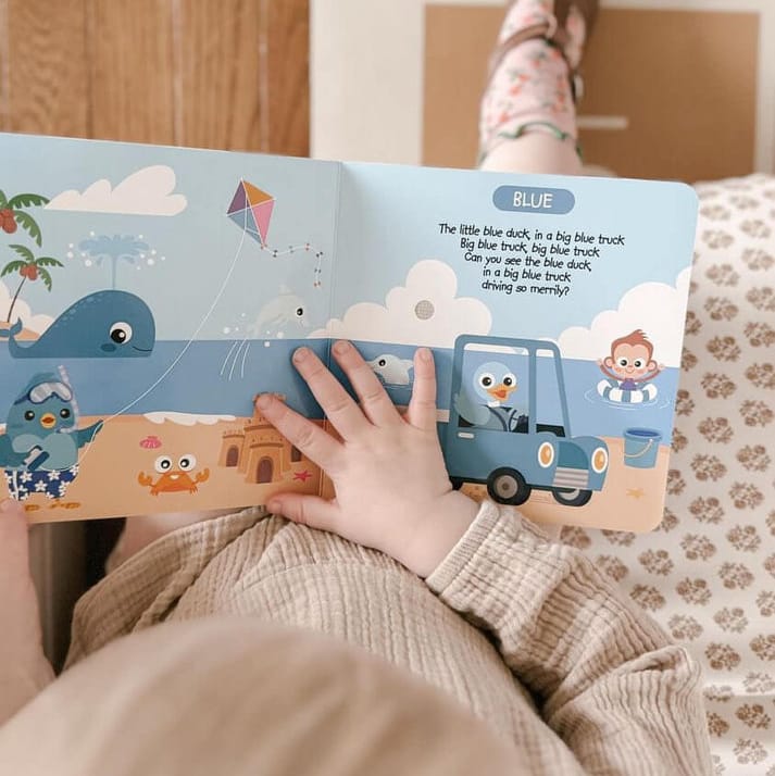 Ditty Bird Libro Musical Libro Interactivo Musical Color Songs - Ditty Bird 9781919650081