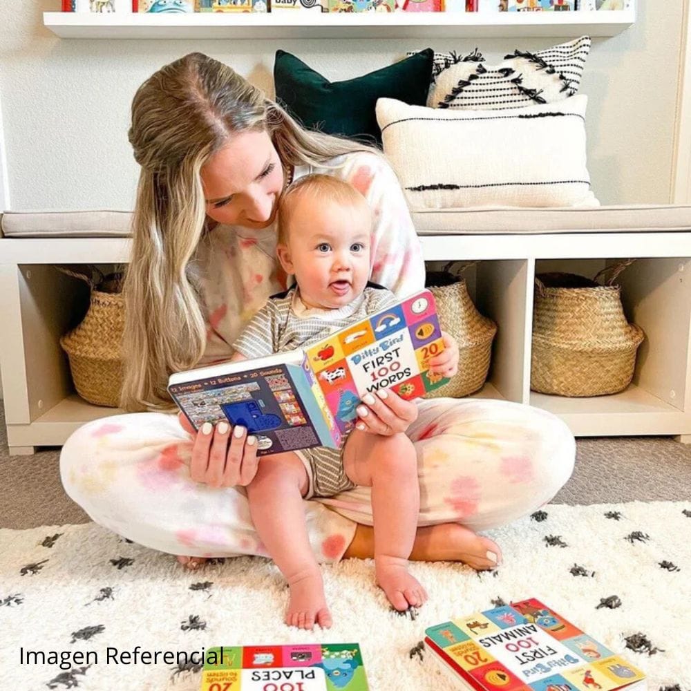 Ditty Bird Libro Musical Libro Interactivo Musical First 100 Places - Ditty Bird DI029