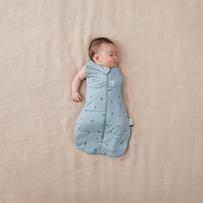 Ergopocuh Sacos de Dormir Cocoon Swaddle Bag TOG 2.5  0 a 3 Meses Dragonflies - Ergopouch 9352240022313