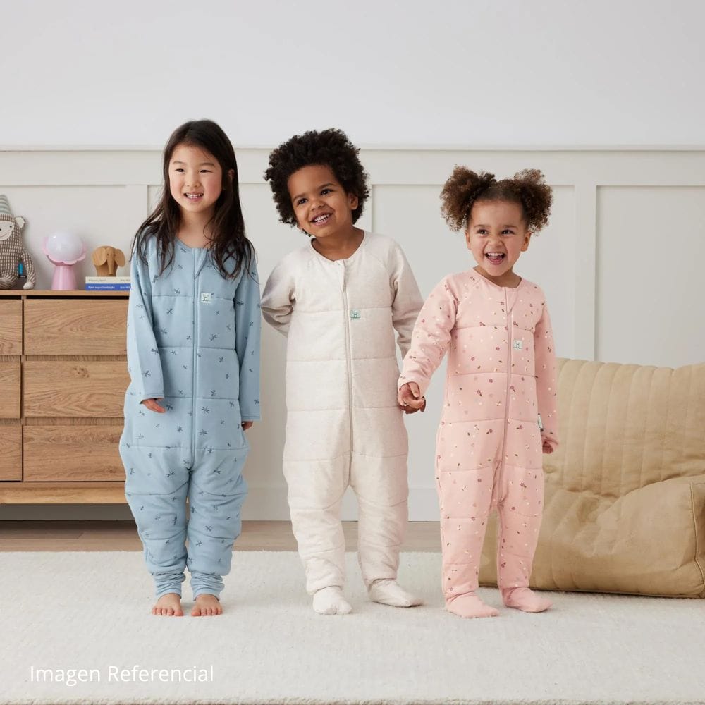 Ergopocuh Sacos de Dormir Sleep Oenesis TOG 2.5 6 a 12 meses Daydream - Ergopouch 9352240038918