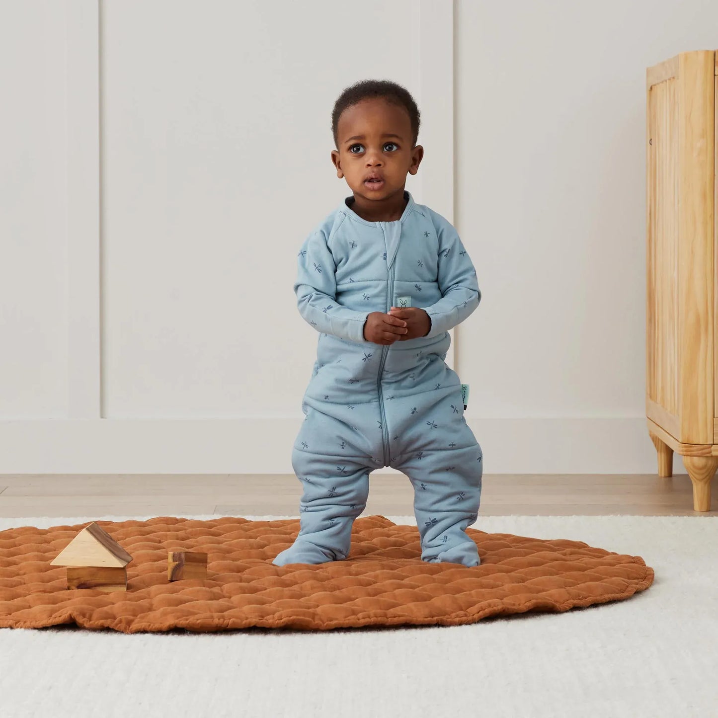 Ergopocuh Sacos de Dormir Sleep Oenesis TOG 2.5 6 a 12 meses  Dragonfles- Ergopouch 9352240024300