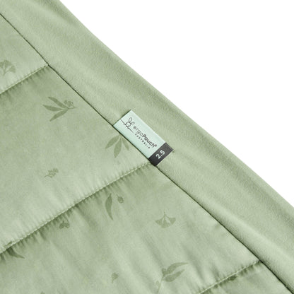 Ergopocuh Sacos de Dormir Sleep Suit Bag TOG 2.5  3 a 12 Meses Willow - Ergopouch 9352240023921