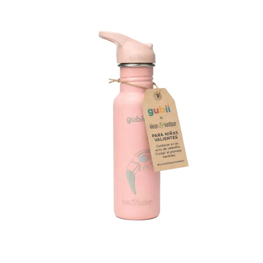 Gubii Alimentación Botella Rosada Flamenco Klean Kanteen- Gubii 763332080514