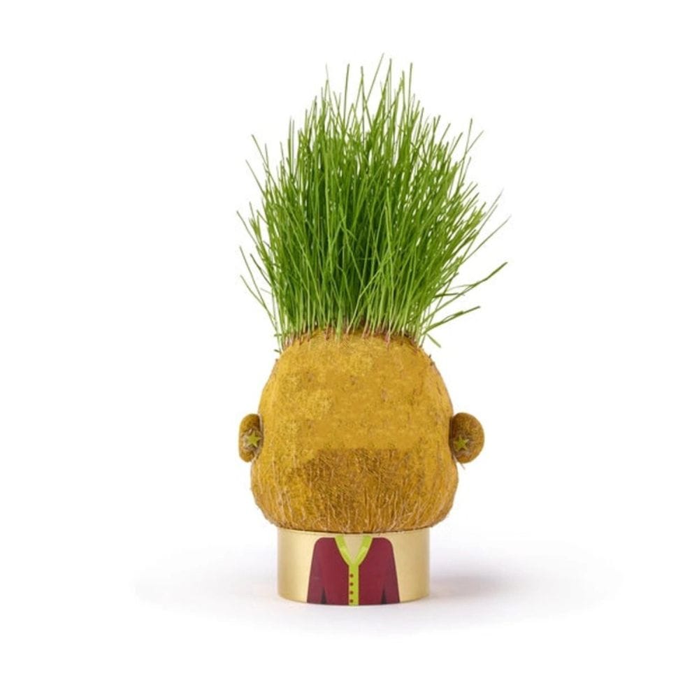 Hape Juegos de Exterior Proyecto plantas Monstruo Moody Mary - Hape 848103
